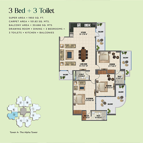 3 Bed + 3 Toilet