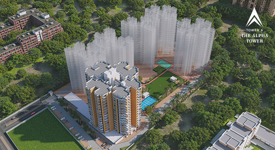 Project View